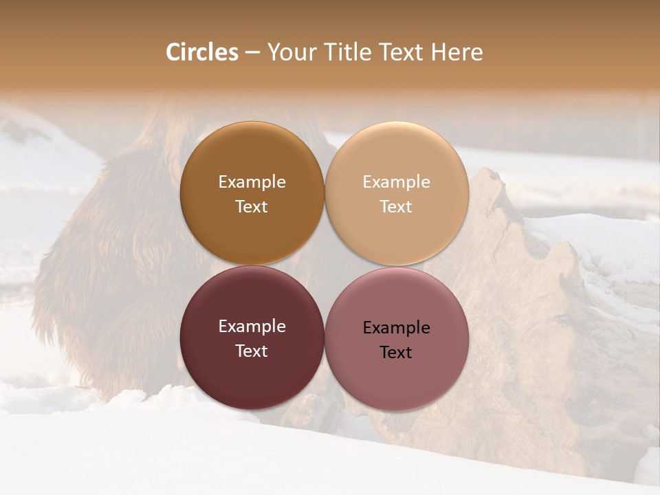 Evolution Legend Bipedal PowerPoint Template