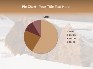 Evolution Legend Bipedal PowerPoint Template