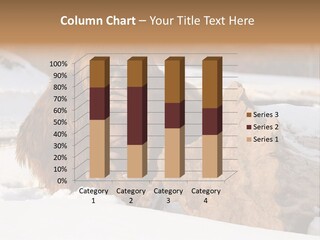 Evolution Legend Bipedal PowerPoint Template