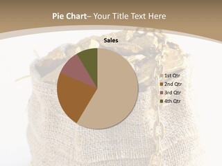 Buried Steal Fine PowerPoint Template