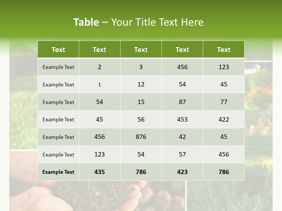Colorful Spring Land PowerPoint Template