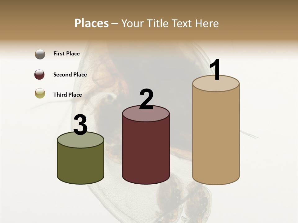 Micro Heart College PowerPoint Template