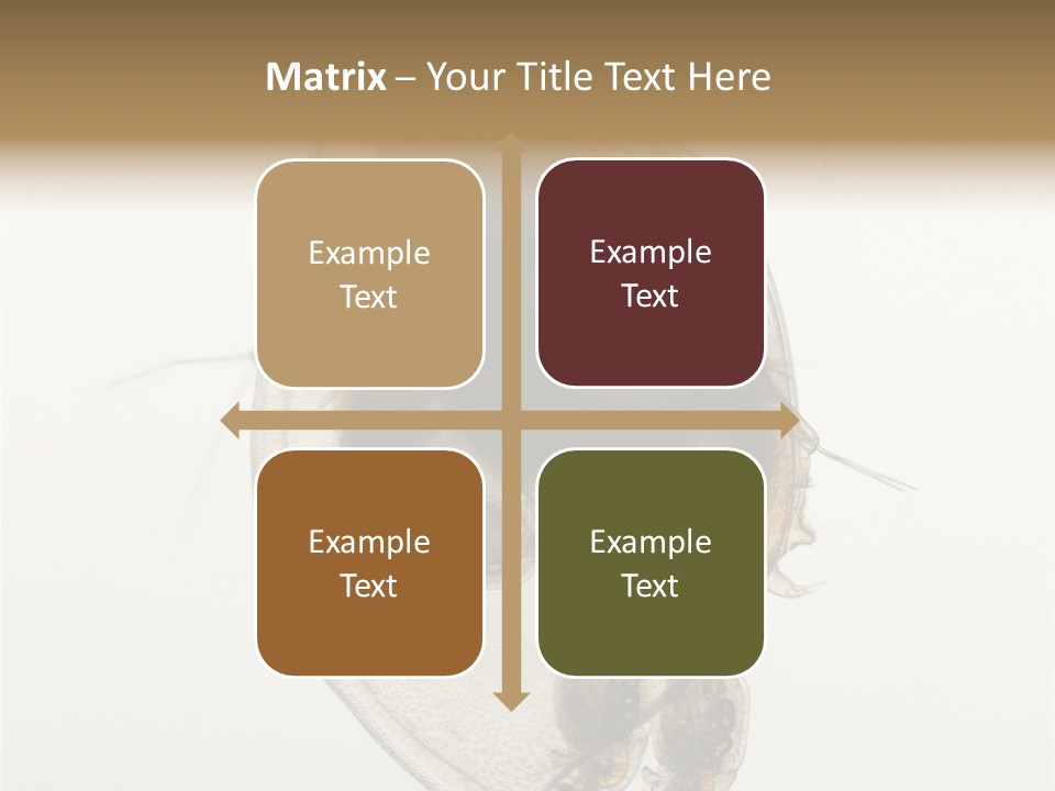 Micro Heart College PowerPoint Template