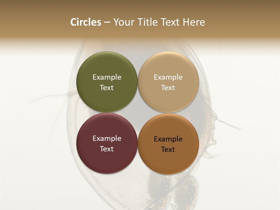 Micro Heart College PowerPoint Template