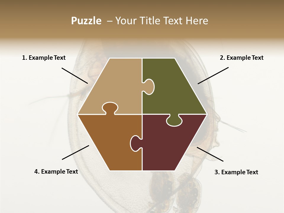 Micro Heart College PowerPoint Template