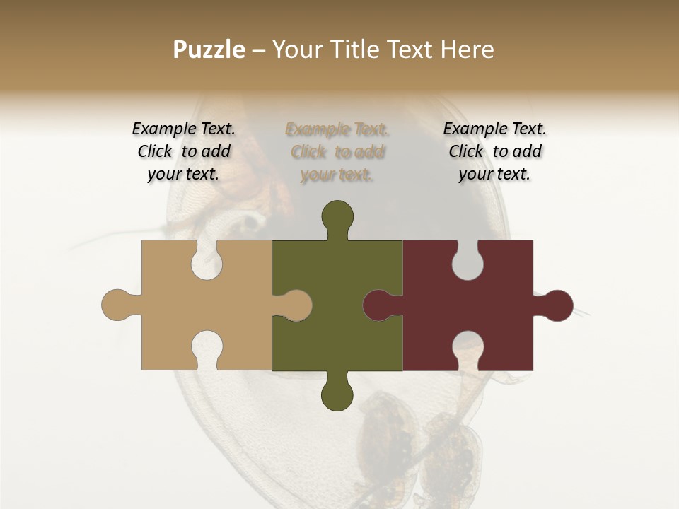 Micro Heart College PowerPoint Template