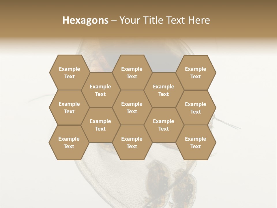 Micro Heart College PowerPoint Template