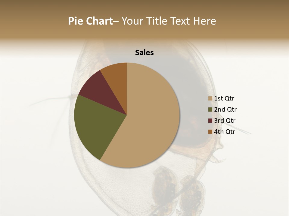 Micro Heart College PowerPoint Template