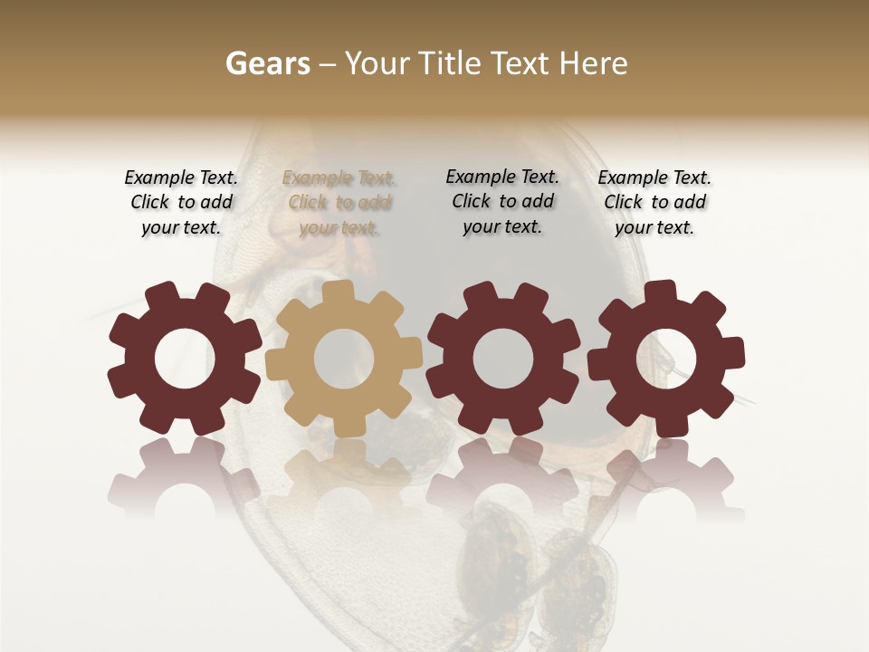 Micro Heart College PowerPoint Template