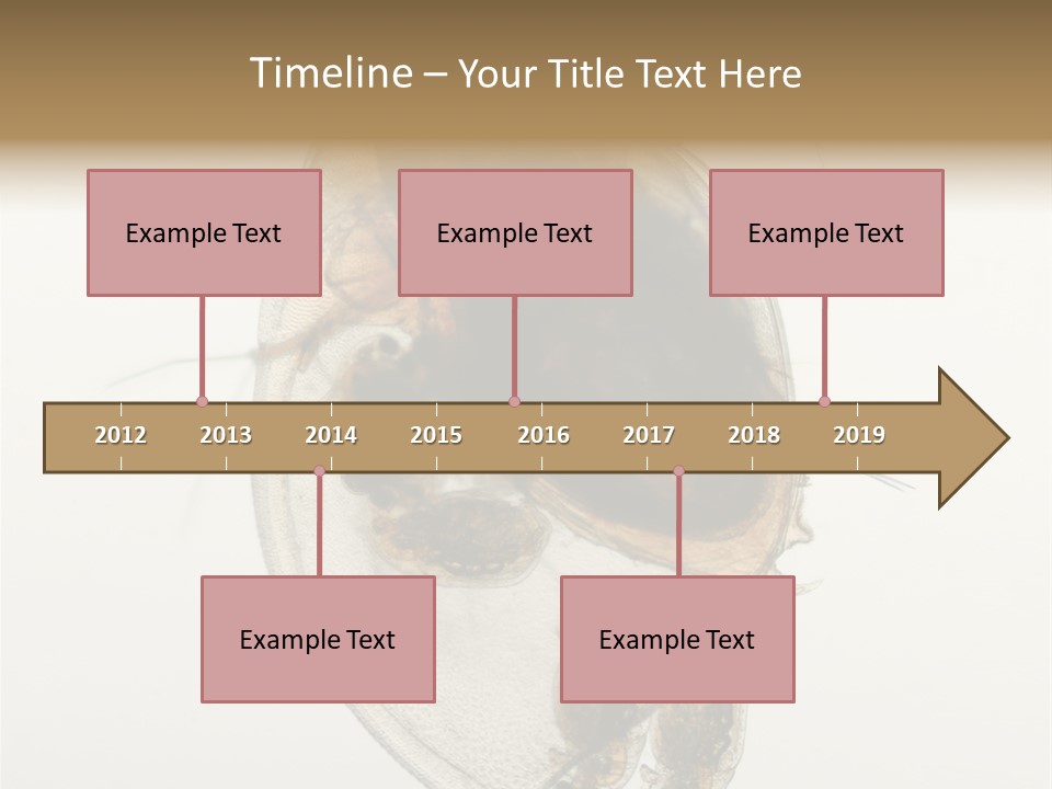 Micro Heart College PowerPoint Template