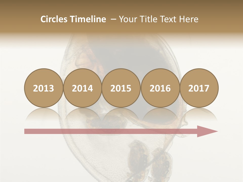 Micro Heart College PowerPoint Template