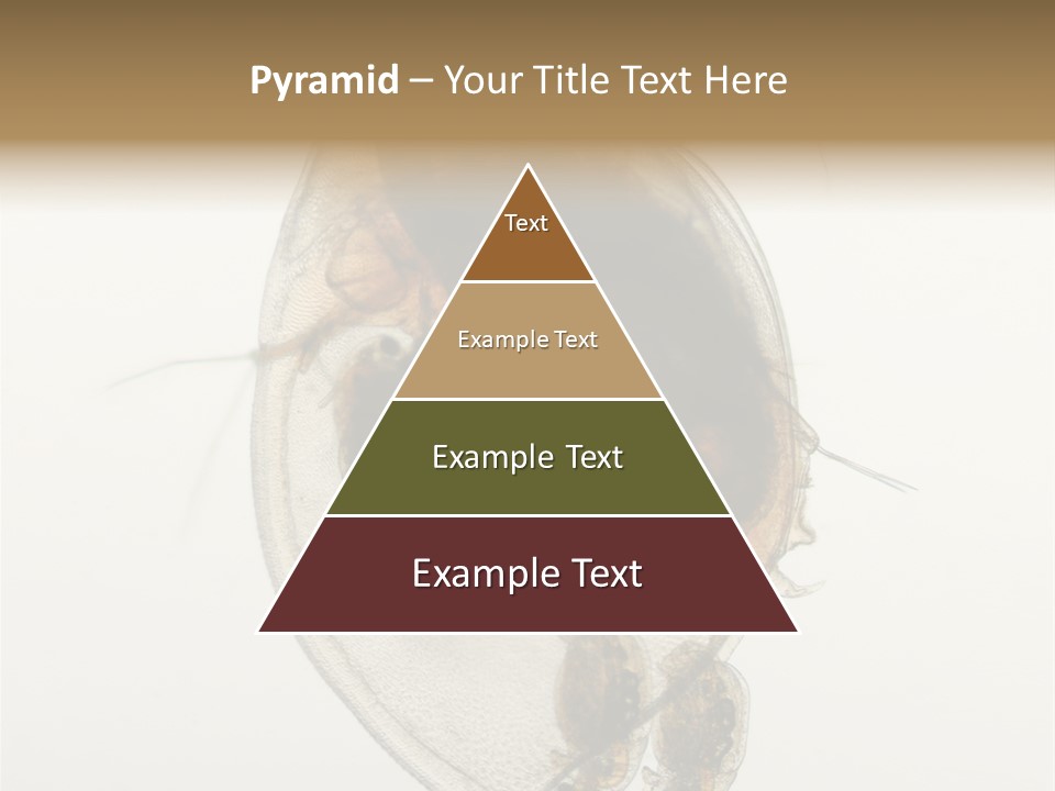 Micro Heart College PowerPoint Template