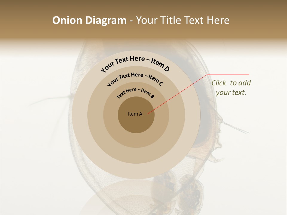 Micro Heart College PowerPoint Template