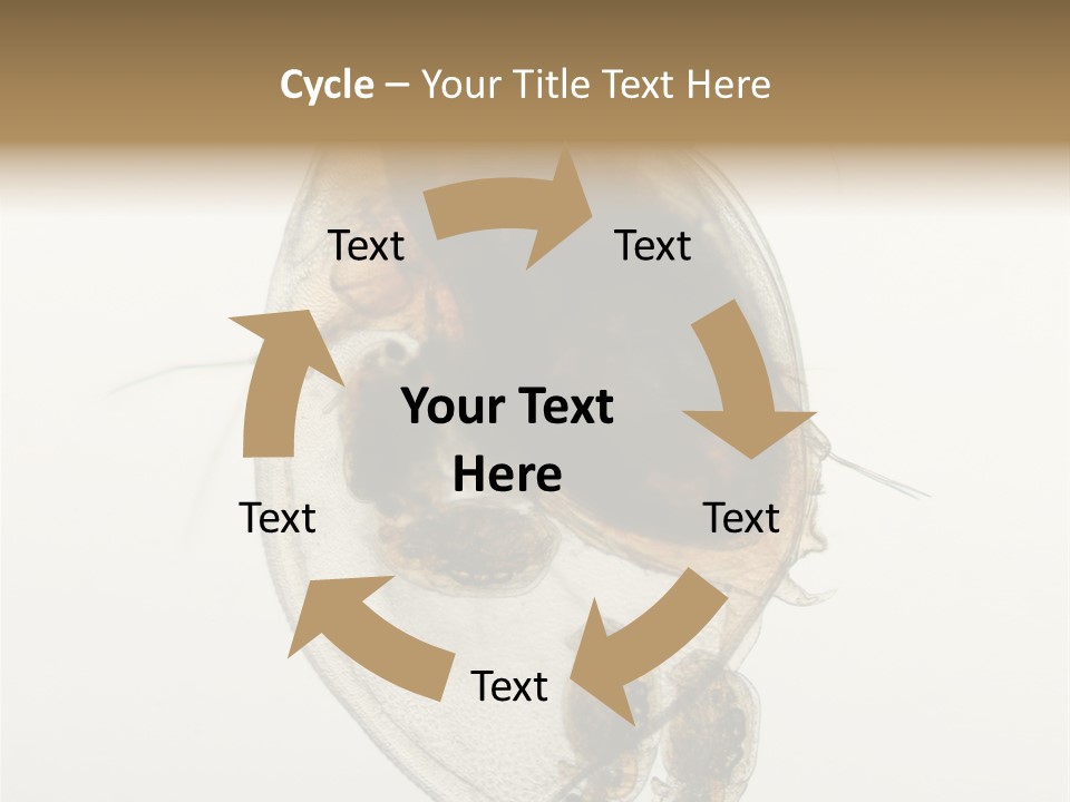Micro Heart College PowerPoint Template