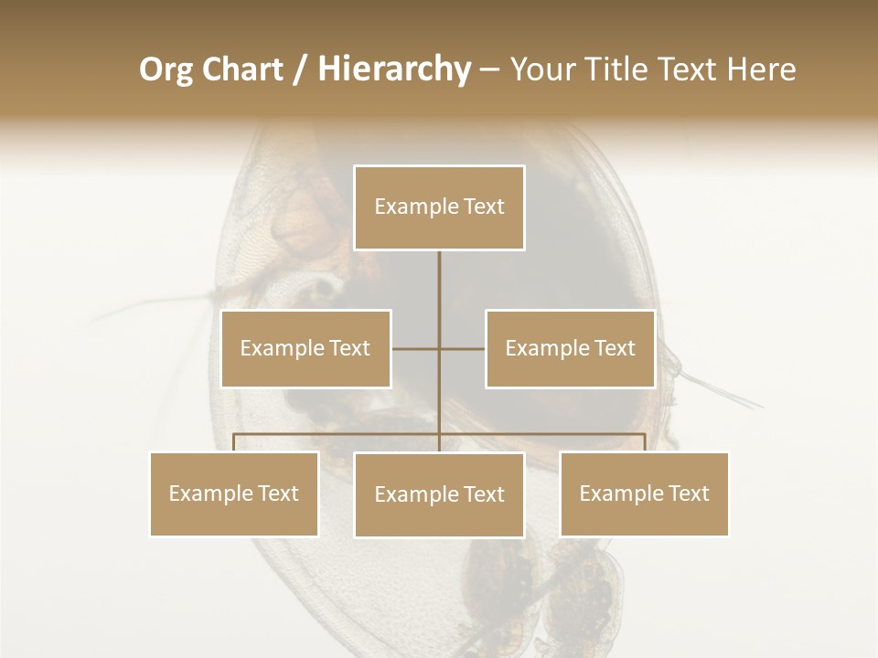 Micro Heart College PowerPoint Template