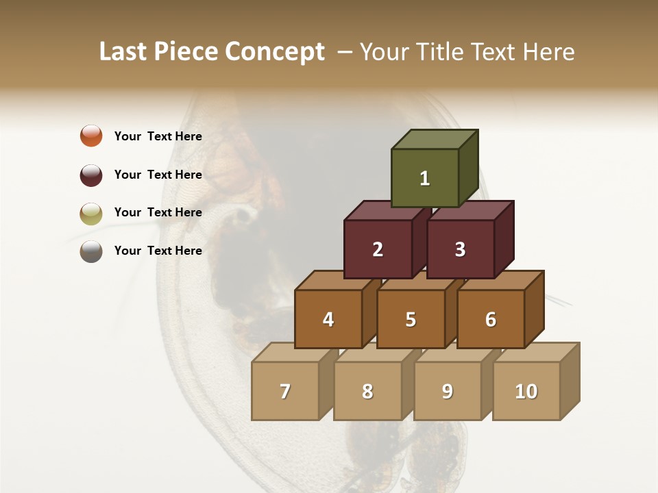 Micro Heart College PowerPoint Template