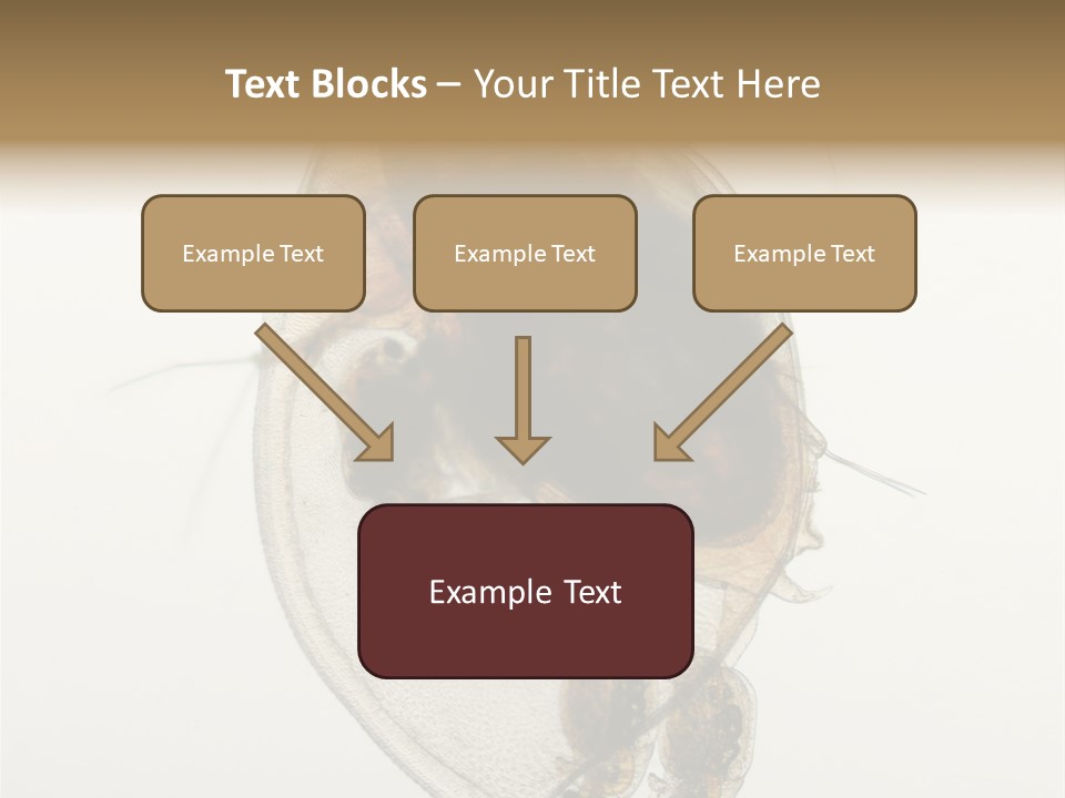 Micro Heart College PowerPoint Template