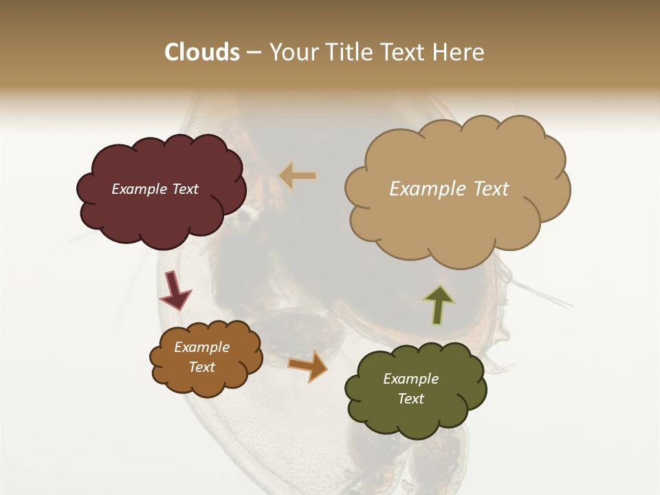 Micro Heart College PowerPoint Template
