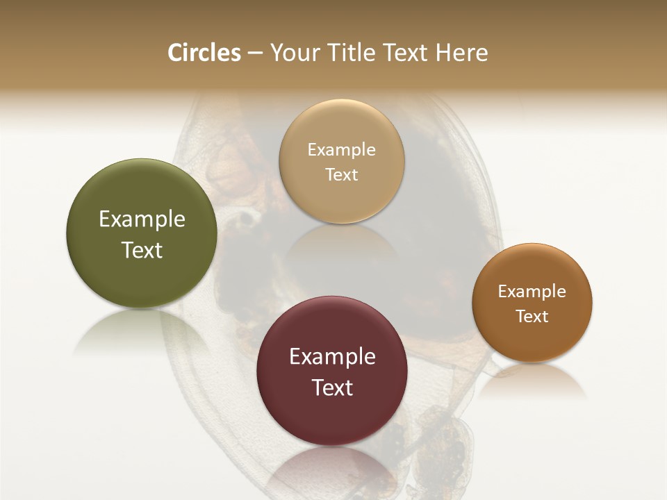 Micro Heart College PowerPoint Template