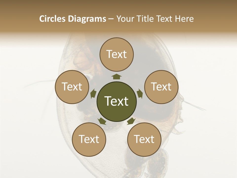 Micro Heart College PowerPoint Template