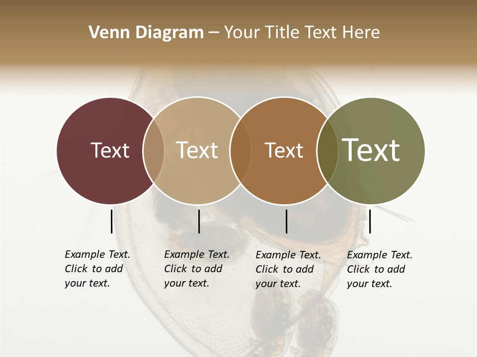 Micro Heart College PowerPoint Template