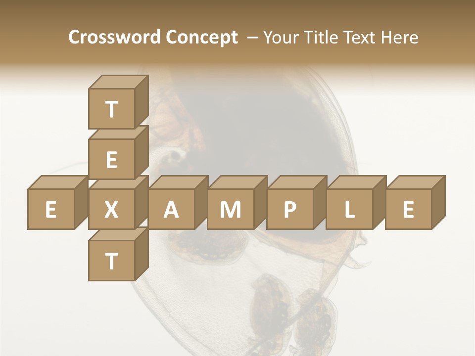 Micro Heart College PowerPoint Template