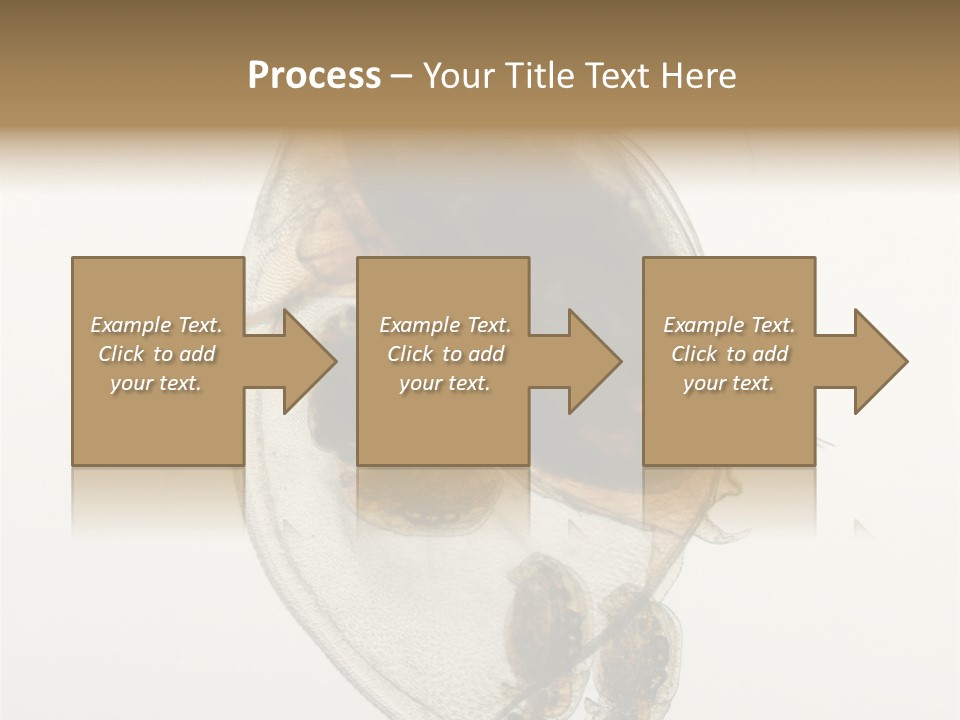 Micro Heart College PowerPoint Template
