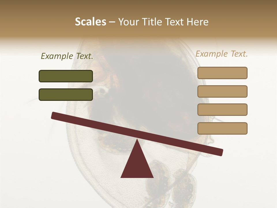 Micro Heart College PowerPoint Template