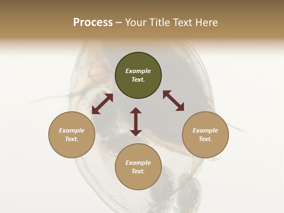 Micro Heart College PowerPoint Template