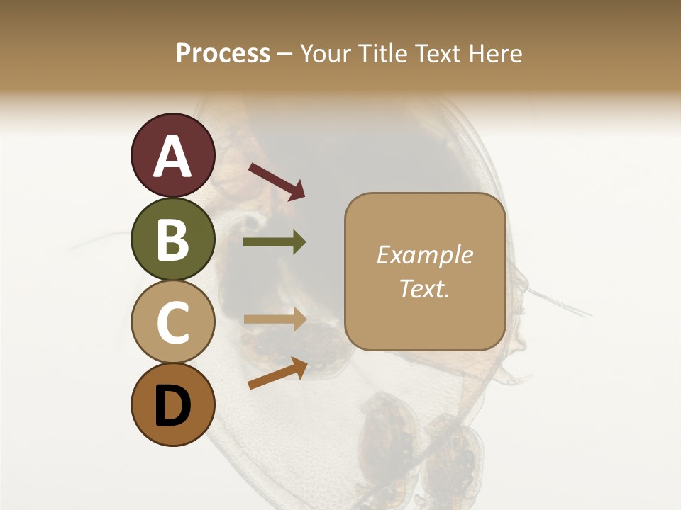 Micro Heart College PowerPoint Template