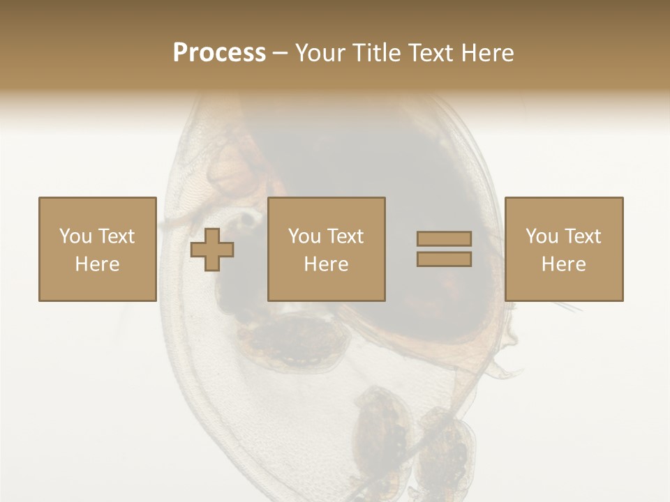 Micro Heart College PowerPoint Template