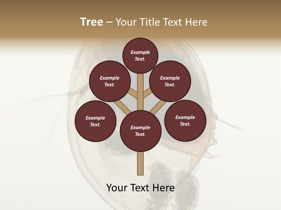 Micro Heart College PowerPoint Template