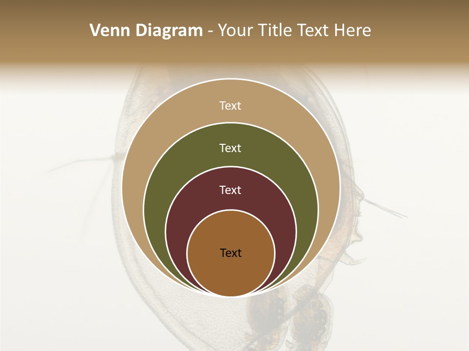 Micro Heart College PowerPoint Template