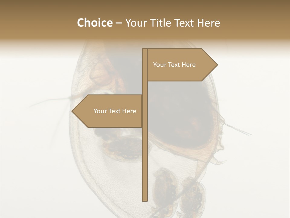 Micro Heart College PowerPoint Template