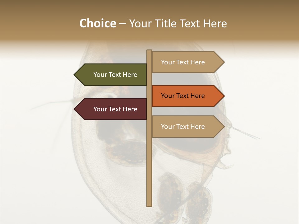 Micro Heart College PowerPoint Template