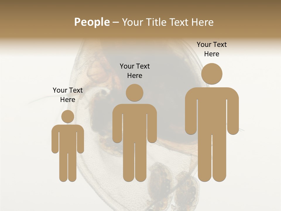 Micro Heart College PowerPoint Template