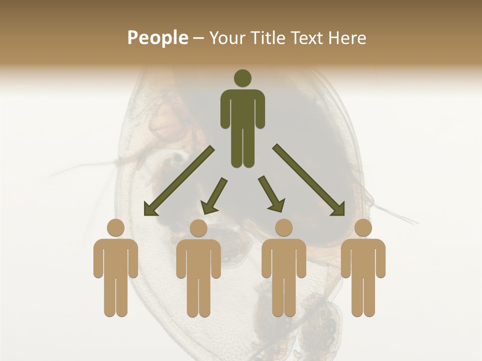 Micro Heart College PowerPoint Template