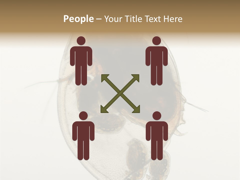 Micro Heart College PowerPoint Template