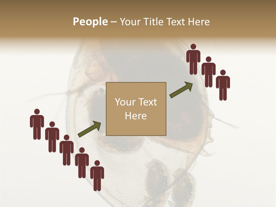 Micro Heart College PowerPoint Template