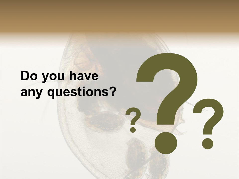 Micro Heart College PowerPoint Template