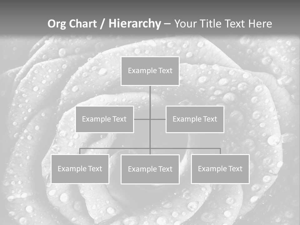Grunge Beauty Romantic PowerPoint Template