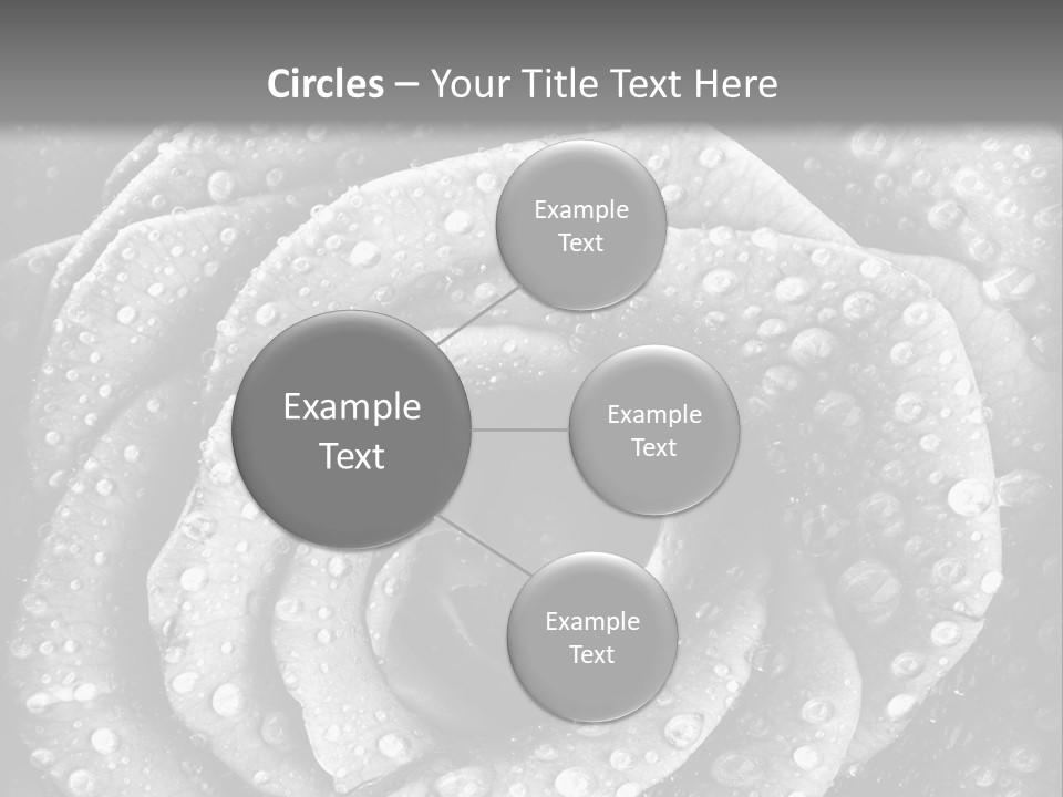 Grunge Beauty Romantic PowerPoint Template