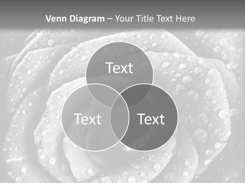 Grunge Beauty Romantic PowerPoint Template