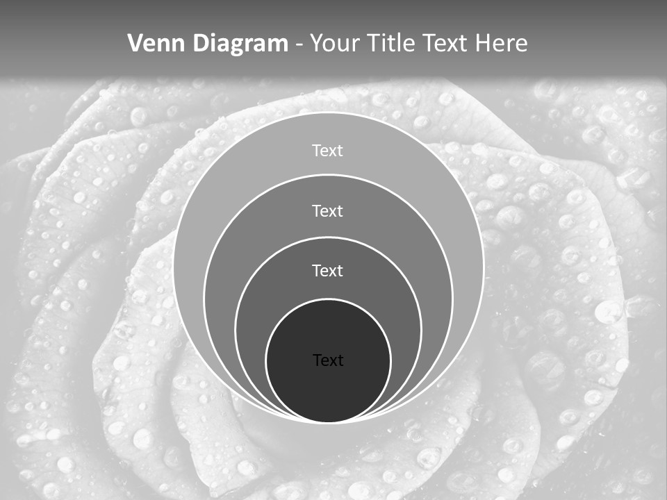 Grunge Beauty Romantic PowerPoint Template