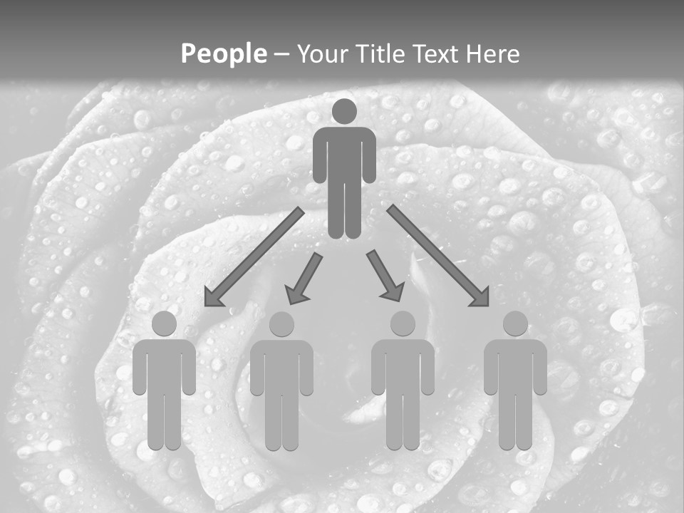 Grunge Beauty Romantic PowerPoint Template