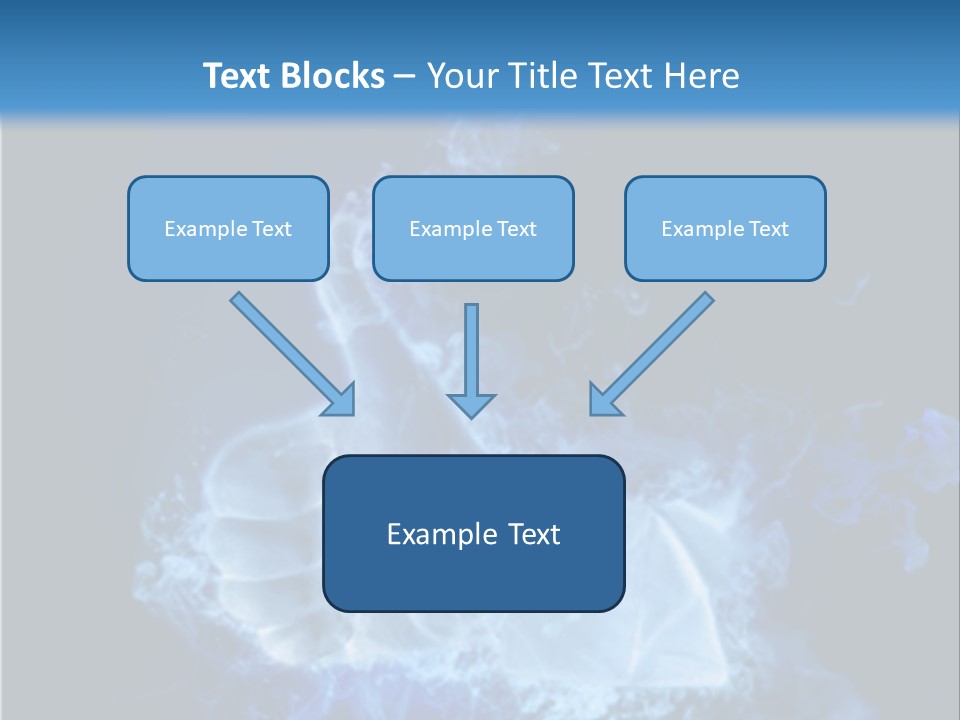 Follow Information Email PowerPoint Template