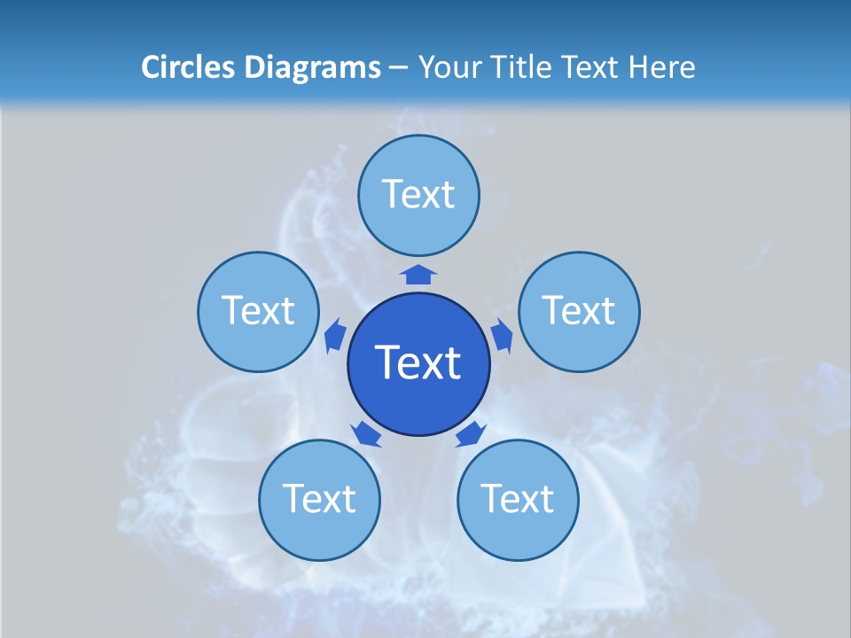 Follow Information Email PowerPoint Template