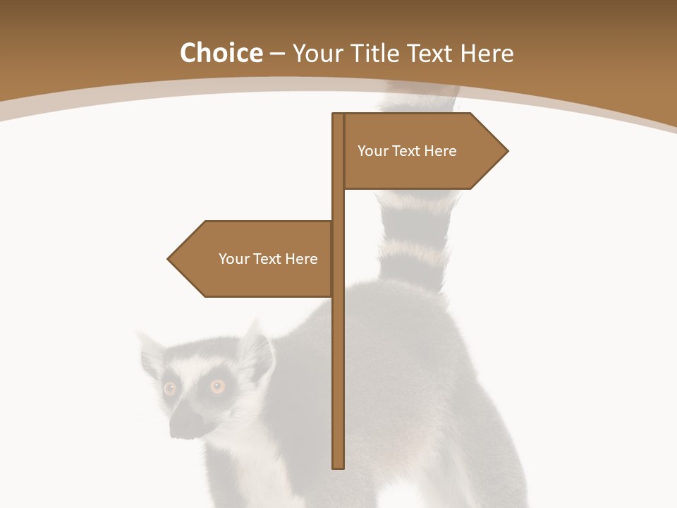 Palm Concept Real PowerPoint Template