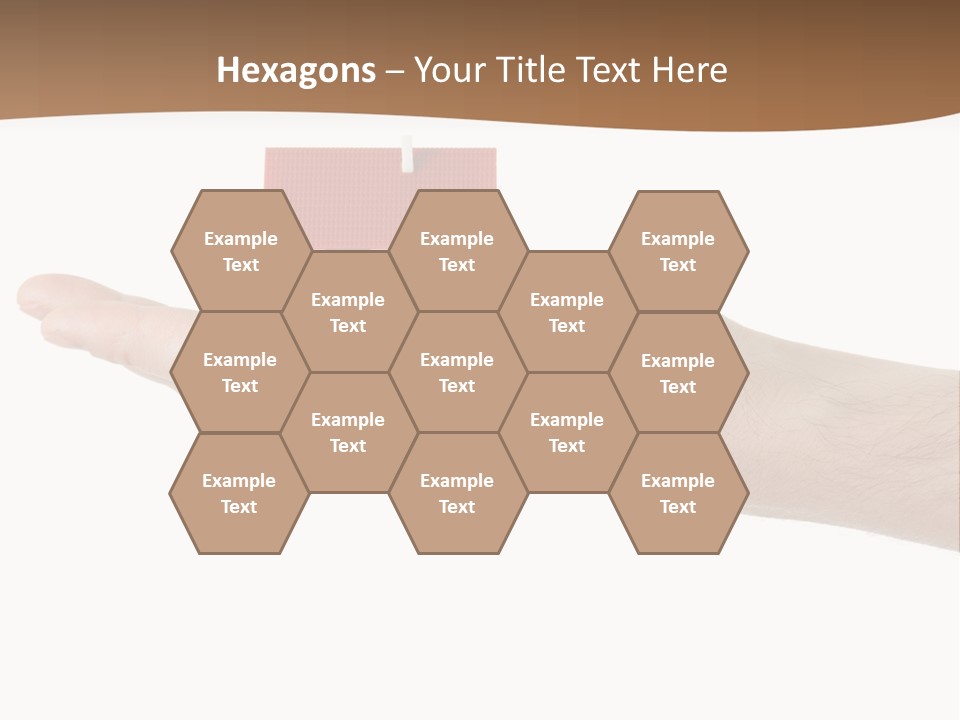 Palm Concept Real PowerPoint Template