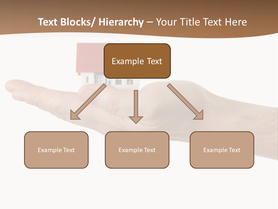 Palm Concept Real PowerPoint Template